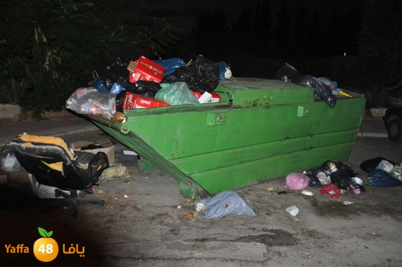 trash lud 907 (24).JPG